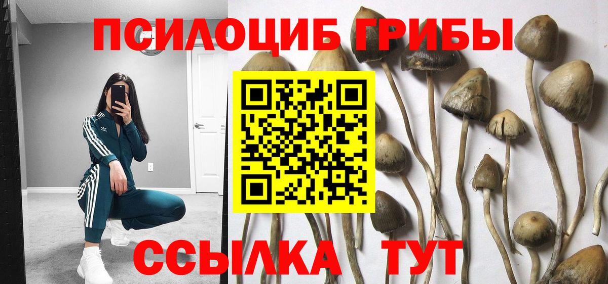 Галлюциногенные грибы GOLDEN TEACHER  Вход с VPN  хочу наркоту  Кулебаки 